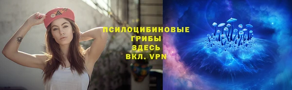 2c-b Алексеевка