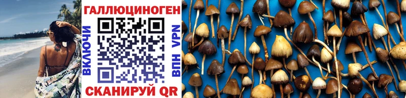 kraken зеркало  Клин  Галлюциногенные грибы мухоморы  где найти  
