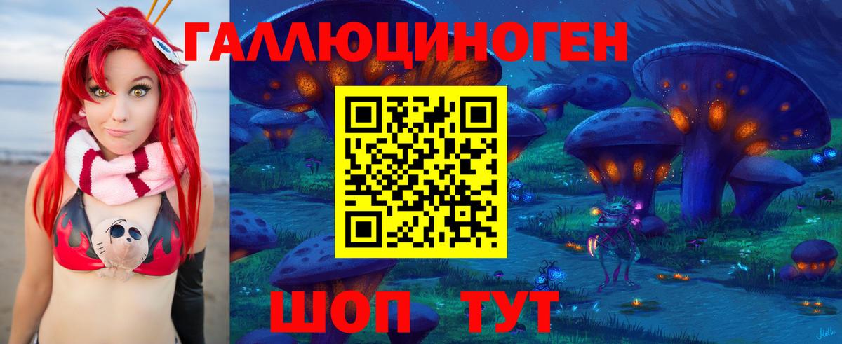 Псилоцибиновые грибы Cubensis  Вход с VPN  Клин 