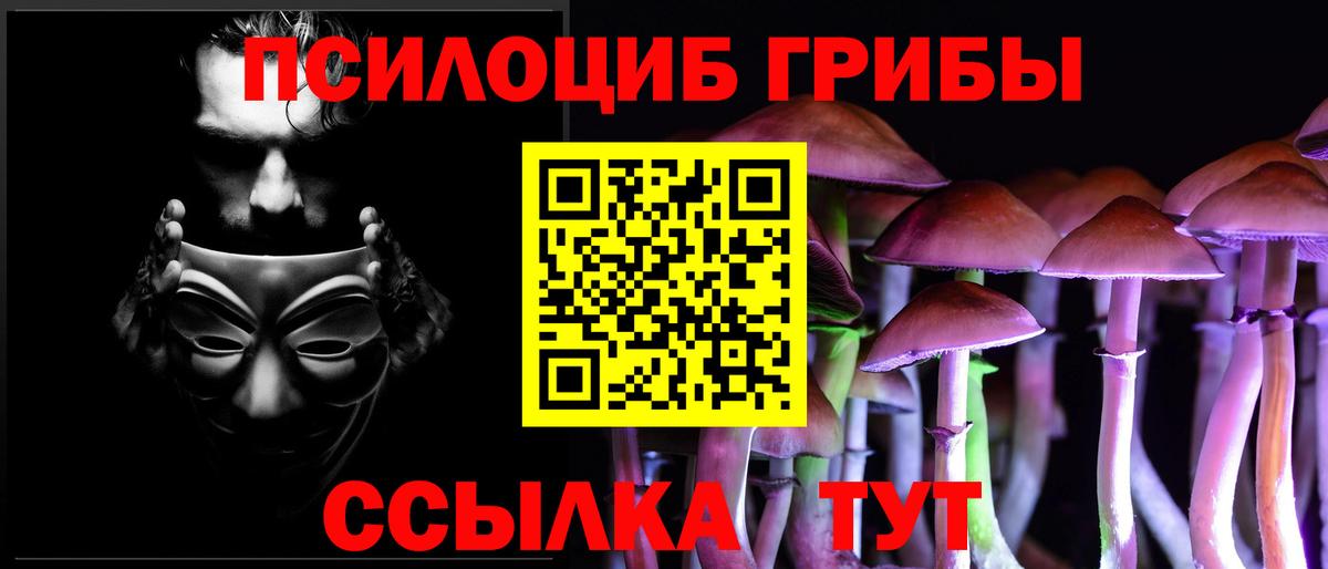 Галлюциногенные грибы прущие грибы Клин